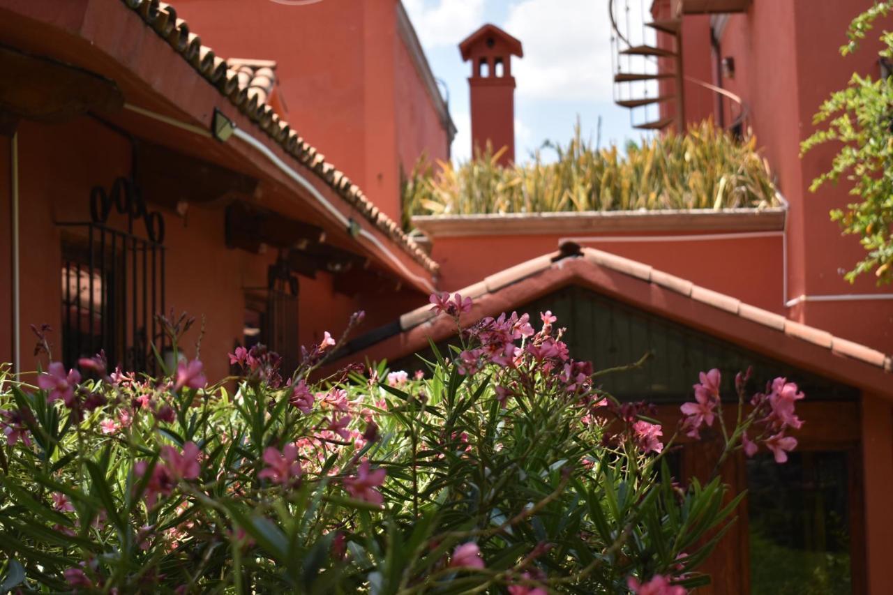 Casa María Elena 3*