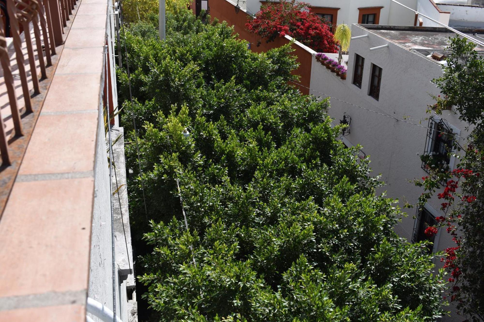 Casa Maria Elena Frühstückspension 3*